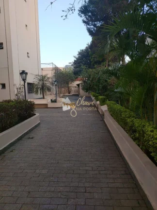 Imagem Apartamento à venda na Vila Santa Catarina