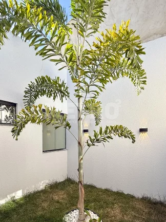 Imagem Casa à venda no Loteamento Recife com 3 quartos, gourmet, PETROLINA - PE