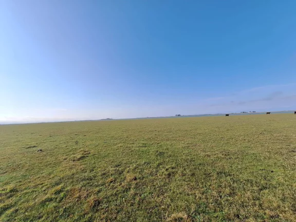 Imagem Excelente Área de 130 Hectares para Cultivo de Arroz – Viamão/RS