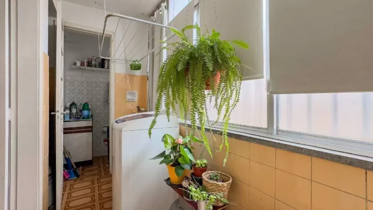 Imagem Apartamento à venda em Porto Alegre, Floresta, com 3 quartos, 99,00m2