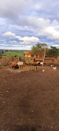Imagem Fazenda em Não Informado