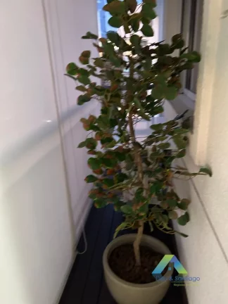 Imagem Cobertura com 2 quartos e 2 vagas ao lado do Hospital Albert Eisntein - Morumbi/SP!