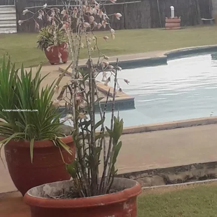Imagem Chácara para Venda em Limeira, PINHAL, 1 dormitório, 1 banheiro, 1 vaga