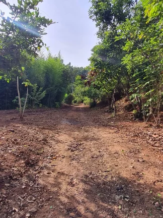 Imagem CHÁCARA LOCALIZADA NA PAINEIRA