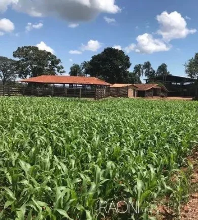 Imagem Fazenda à Venda, 5.620.000 m² em Zona Rural - Jaraguá