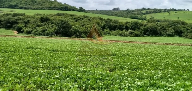 Imagem Fazenda - Itamogi - Itamogi