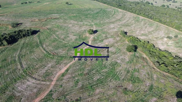 Imagem Fazenda Top 243 Ha alta produtividade em Piracanjuba GO