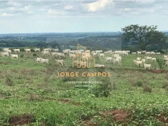 Imagem FA-24152 - FAZENDA À VENDA EM GENERAL SALGADO/SP