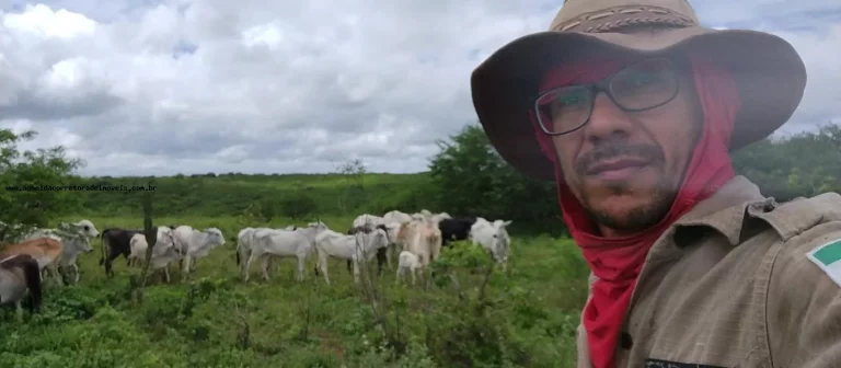 Imagem Fazenda para Venda em Natal, Potengi