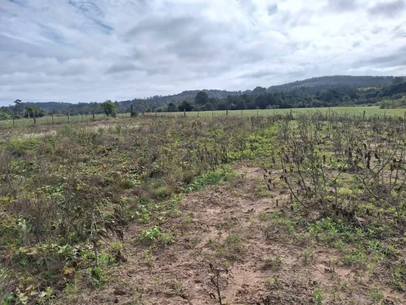Imagem Sítio à venda, com 1 hectare, açude, no Passo da Areia - Viamão/RS