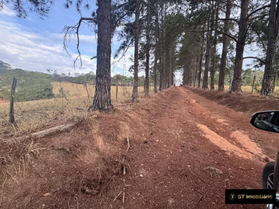 Imagem Sítio com Ótimo Acesso Asfaltado Atibaia 8 Alqueires