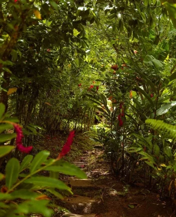 Imagem Pousada à venda no bairro Velha Boipeba em Cairu-BA