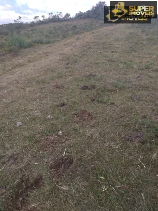 Imagem Fazenda para Venda no 2º Distrito de Piratini-RS