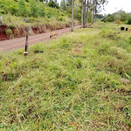 Imagem Chácaras para Camping Lazer em Condomínio Linha Tiradentes Pinhalzinho SC
