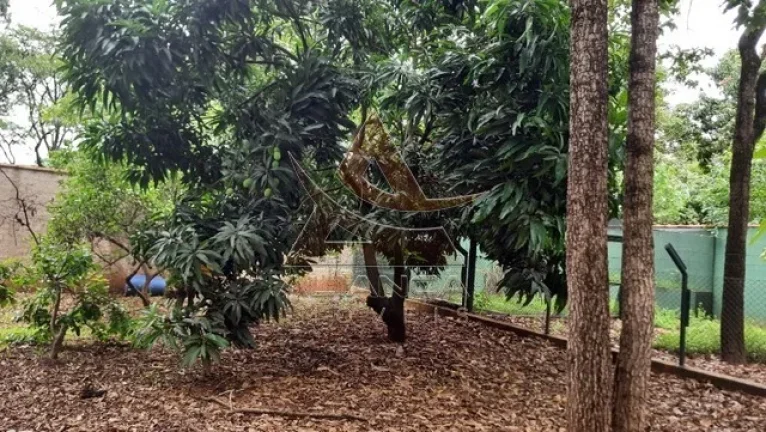 Imagem Chácara - Ribeirão Preto - Itanhangá