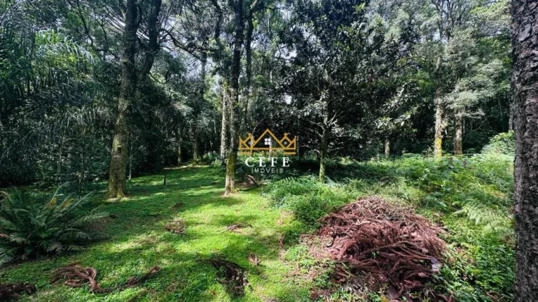 Imagem Terreno com 4 Dormitorio(s) localizado(a) no bairro Linha Imperial em Nova Petrópolis / RIO GRANDE DO SUL Ref.:1563