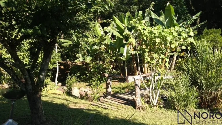 Imagem Casa no campo. Chácara para quem aprecia a natureza, mata nativa, riacho