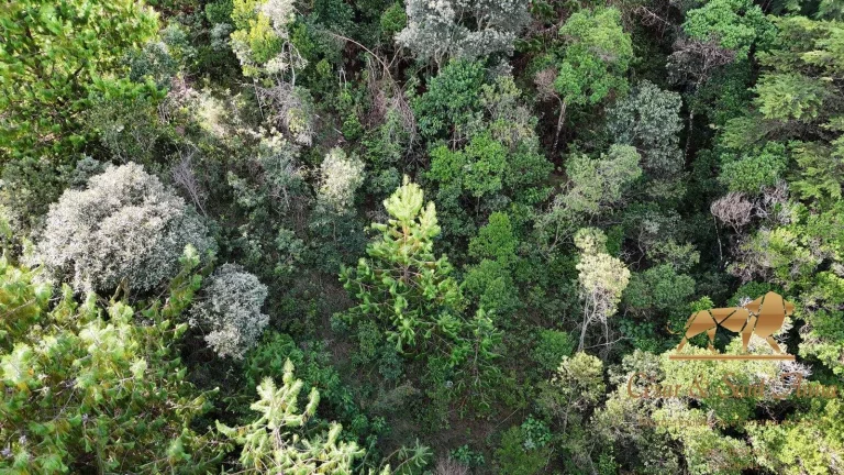 Imagem Terreno a venda em Campos do Jordão