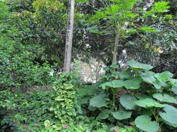 Imagem Sobrado à venda com 3 quartos, sendo 1 suíte, em Vila São Francisco, São Paulo - SP