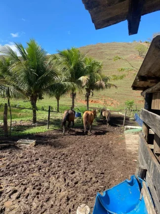Imagem Sotio a venda Conceição de Macabu RJ