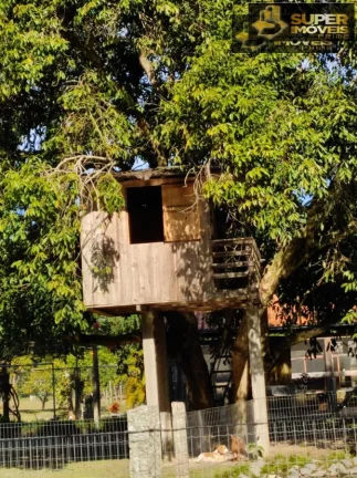 Imagem Sítio para Venda em Centro Capão do Leão-RS - 2664