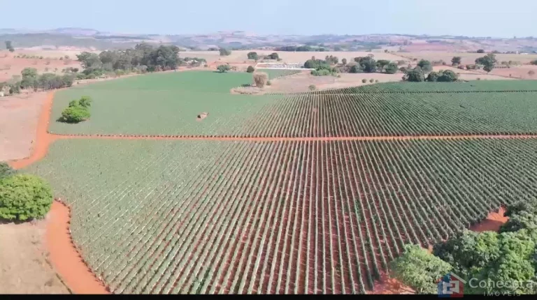 Imagem Fazenda à Venda em Patos de Minas – 46 ha, Arrendada, com Energia e Alta Rentabilidade