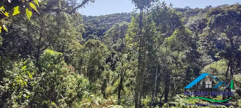 Imagem Terreno Rural na Serra da Mantiqueira | Sertão do Cantagalo