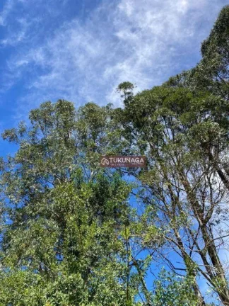 Imagem Lindo Terreno à venda, 1575 m² por R$ 950.000 - Suíça da Cantareira - Mairiporã/SP