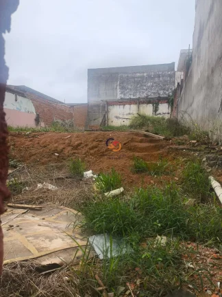 TERRENO JD C PINTADA SÃO MIGUEL PAULISTA 250m²