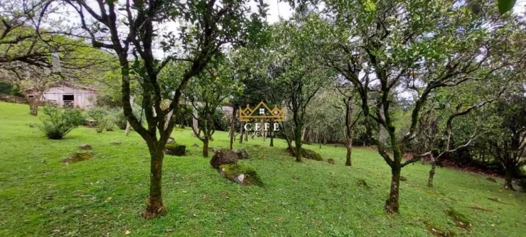 Imagem Chácara - Sítio com 3 Dormitorio(s) localizado(a) no bairro Samambaia em São Francisco de Paula / RIO GRANDE DO SUL Ref.:1532