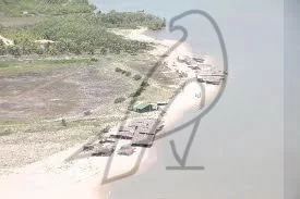 Imagem Lotes para venda Sítio do Conde, Conde-BA