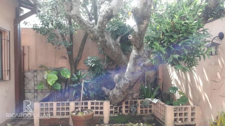 Imagem "Casa de sonhos à venda com 4 quartos e diversos espaços incríveis em Jardim Aeroporto, São Paulo"