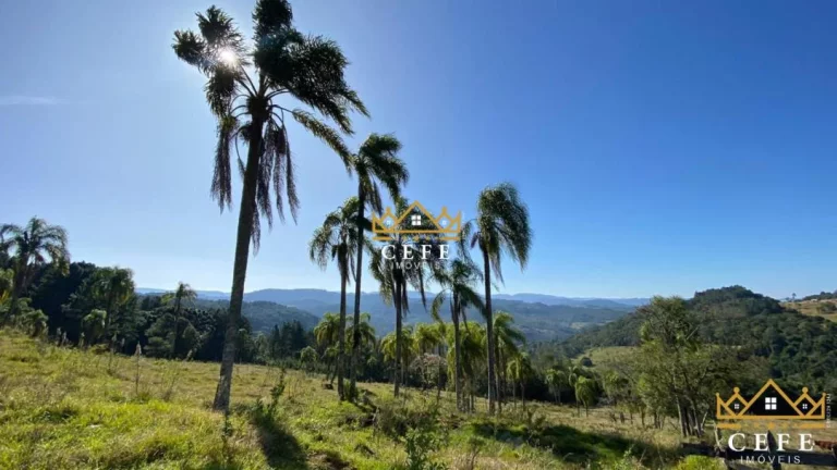 Imagem Chácara - Sítio com 2 Dormitorio(s) localizado(a) no bairro Zona Rural em Três Coroas / RIO GRANDE DO SUL Ref.:1390
