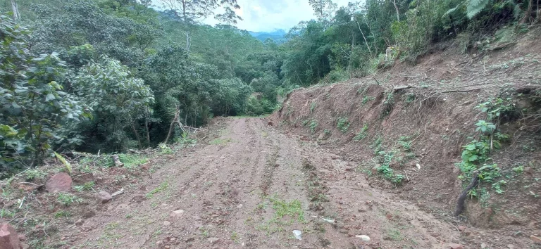 Imagem Área rural à venda em Santa Rosa de Lima/SC