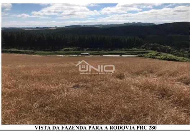 Imagem Fazenda de 47 Alqueires em Palmas - PR
