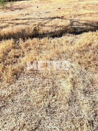 Terreno à venda na Av. Clementino Coelho 1.079,00m, PETROLINA - PE