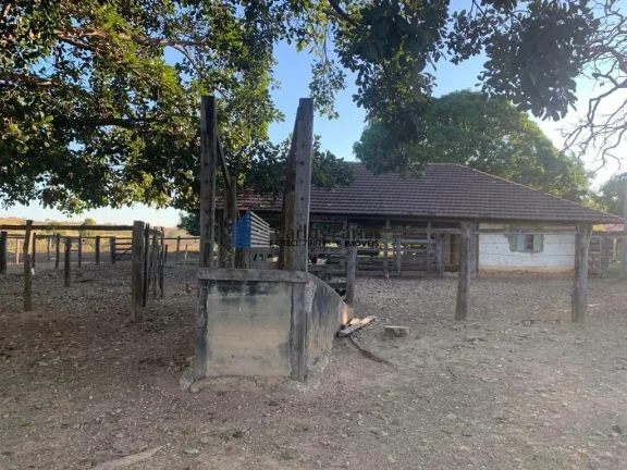 Imagem Fazenda para Venda em Mimoso de Goiás, MIMOSO GOÍAS, 6 dormitórios, 4 suítes, 5 banheiros, 4 vagas