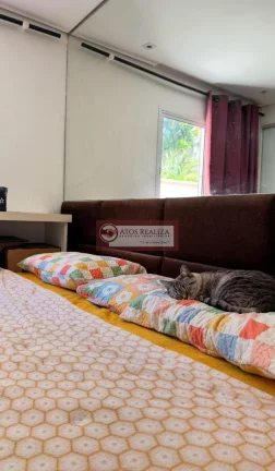 Imagem Aluguel de Apartamento em Vila Andrade SP | 3 Dorms, 1 Suíte