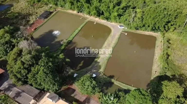 Imagem Excelente Chácara à Venda no Rancho Ringo - Área Total de 15.000m², com benfeitorias!