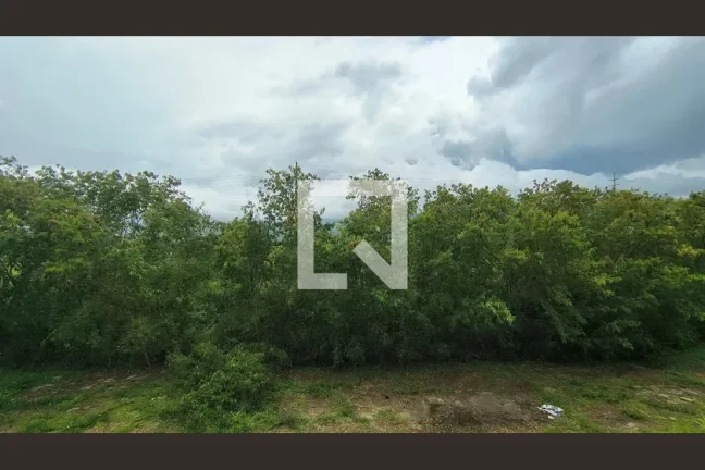 Imagem Apartamento à Venda - Recreio, 4 Quartos, 200 m2