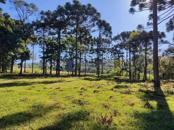 CHÁCARA NA REGIÃO NO BUGRE EM BALSA NOVA
