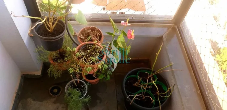 Imagem Apartamento à Venda na Vila Clementino - São Paulo/SP.