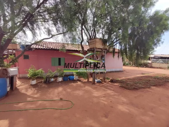 Imagem Chácara 12 km de Uberlândia à venda com Casa, Córrego, Curral, Energia