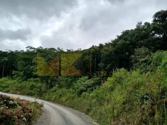 Imagem Fazenda à Venda, 90 m² em Barra Avencal - Rio Dos Cedros