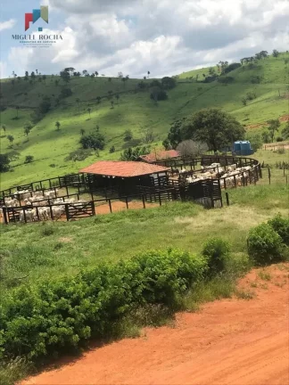 Imagem Fazenda região de Itapira SP