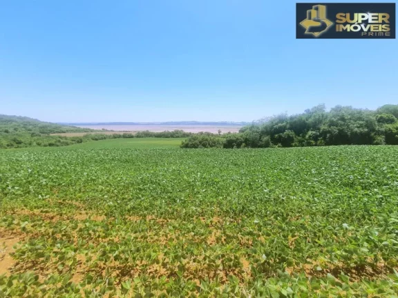 Imagem Fazenda de Excelência no RS 2.100 hectares Cachoeira do Sul
