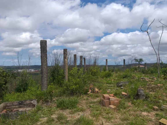 Imagem Lote de Terreno na Região do Bairro Palestina - Espaço e Localização Incríveis!