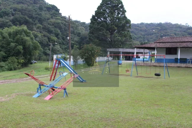 Imagem SÍTIO 8 ALQUEIRES / BAIRRO QUATINGA / IMÓVEL RURAL