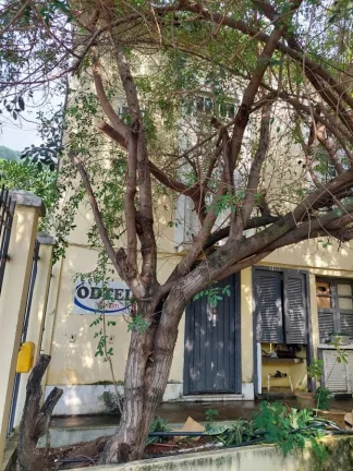 Imagem Casa Duplex / Usada para Venda em Rio de Janeiro, São Francisco Xavier, 6 dormitórios, 3 banheiros, 4 vagas