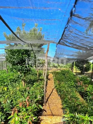 Imagem Área Beira de Rio à venda com 34ha, casa, 2 tanques criação de peixes, Petrolina